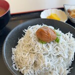 フィッシュテラス　はし長 - 