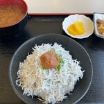 フィッシュテラス　はし長 - 