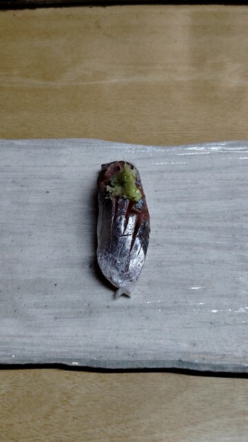 鮨扇 - かみのやま温泉（寿司）の写真