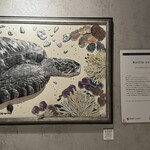 バール ア フロマージュ スーヴォワル - 