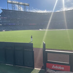 GILROY GARLIC FRIES - 