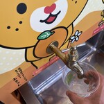 石鎚山サービスエリア(下り線) フードコート - 