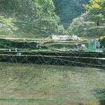 山の神釣り堀センター - 