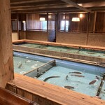 明日香 - 