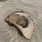 コエダ バール レアーレ - 