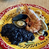 anchoa - 