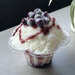 カクタファーム - ブルーベリーの糸ピンス500円