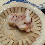 鮨旬美西川 - 新イカ下足