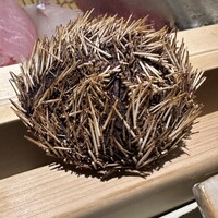 すし匠 まさ - 
