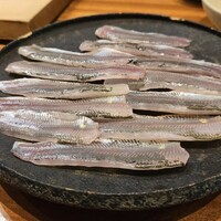 AKAI - 