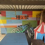 種と根 - かわいい壁