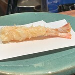 江戸前晋作 - 車海老　レア