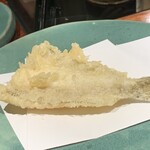 江戸前晋作 - 愛知の鱚