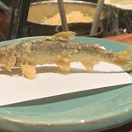 江戸前晋作 - 若鮎