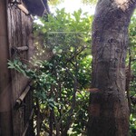 凡味 そばきり - 