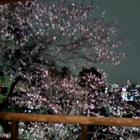 韻松亭 - 