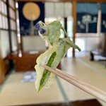 いろり　じねん - まさかのツユクサ！