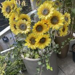 サンデーブランチ - 