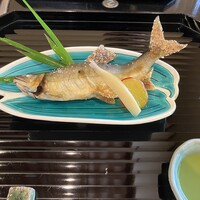 広島 鉄砲町 稲茶 - 