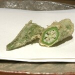 ぬま田 - 【 しろおくら 】天草