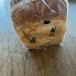 江差 旅庭 群来 - 