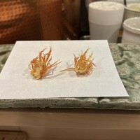 天白 - 