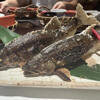 柳家錦 - 