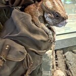 ロストワールド・レストラン - 