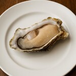 オストレア oysterbar&restaurant - 