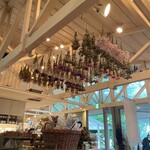 ペーパームーン - 