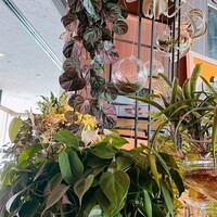 テーブル36 - 