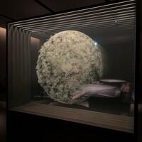 ハジメ - 