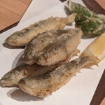 炭味旬菜 収穫 - 