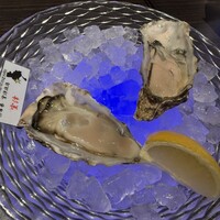 MAIMON GINZA - 