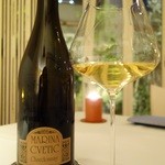 カーザ ヴィニタリア - 