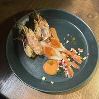 シャイニーアウル 表参道 - 