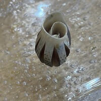 鮨サロン 怜竜 - 