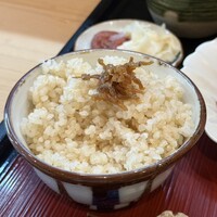 高麗橋桜花 - 