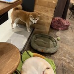 フィッシュ ハウス カフェ - 