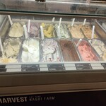 ハーベスト ナガイファーム - 