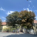 Restaurant Schönbrunner Stöckl & Dinnertheater - 