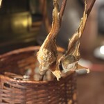 火乃座 - ハタハタ焼き