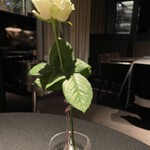 315699331 - 