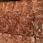 焼肉ホルモン 風土. - 