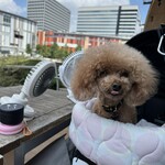 RHC CAFE 豊洲店 - 暑いけど元気ｗ