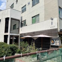 coci - 