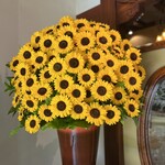 八王子うかい亭 - 