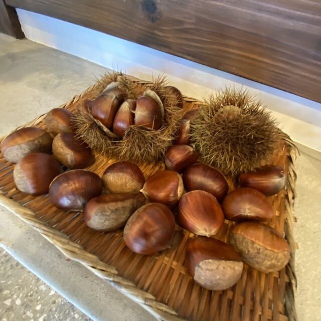 玉屋菓子店 - 竜田（和菓子）の写真