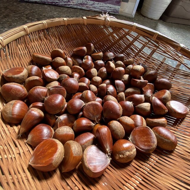 玉屋菓子店 - 竜田（和菓子）の写真