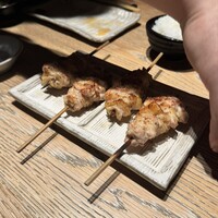 鳥カミ - 